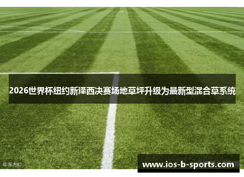 2026世界杯纽约新泽西决赛场地草坪升级为最新型混合草系统 2026世界杯纽约新泽西决赛场地草坪升级为最新型混合草系统